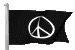 Hippie Nation